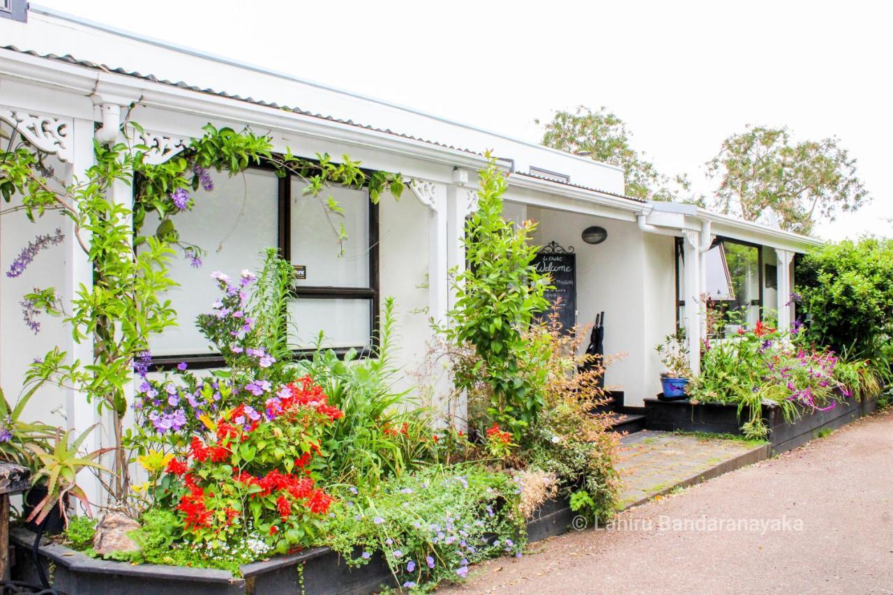 Le Chalet Waiheke Apartments Ostend Exterior photo